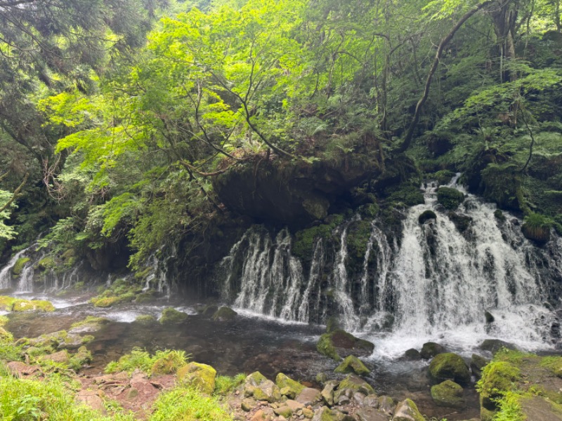 にゃぴたろうさんのにかほ市温泉保養センター はまなすのサ活写真