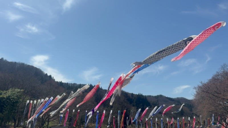 にゃぴたろうさんのテルメ柏陵 大江町健康温泉館のサ活写真