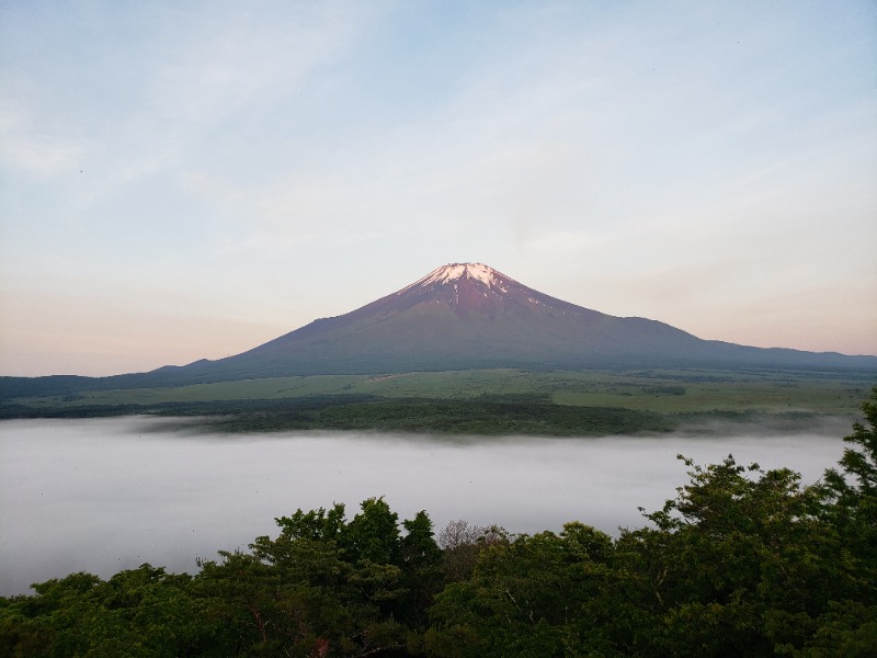 じこじこさんのホテルマウント富士のサ活写真