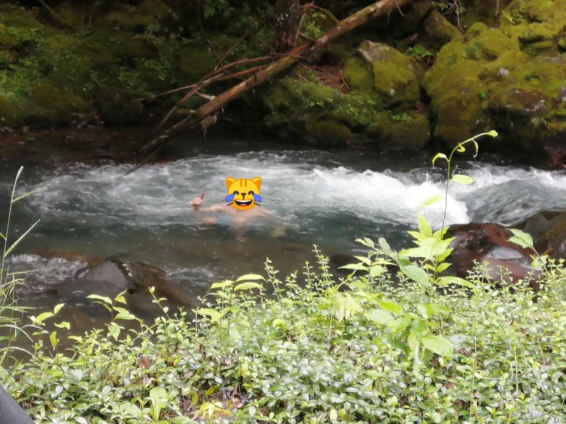 CoCoちんさんの乗鞍高原 SaunaN+ バレルサウナのサ活写真