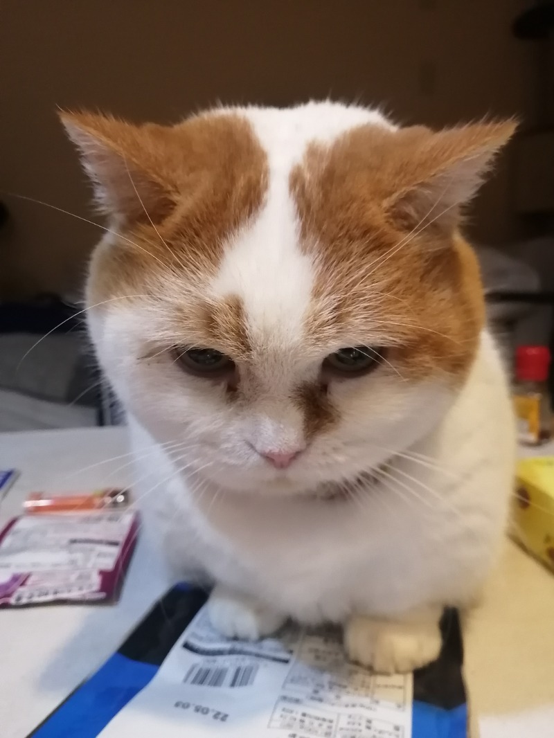 CoCoちん🐱👑👑さんの山梨泊まれる温泉 より道の湯のサ活写真