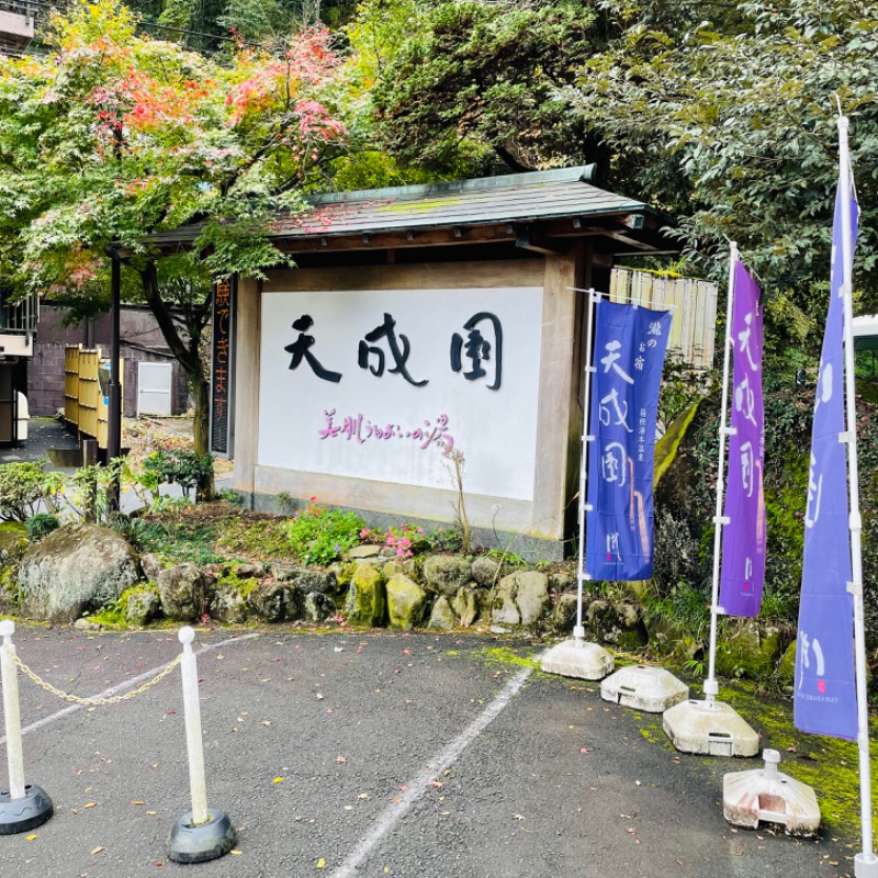 アルプスさんの箱根湯本温泉 天成園のサ活写真