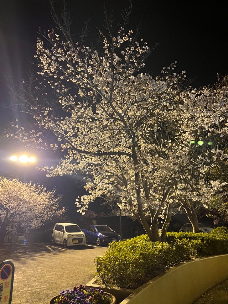 ロウリュウリキさんの東温市ふるさと交流館さくらの湯のサ活写真