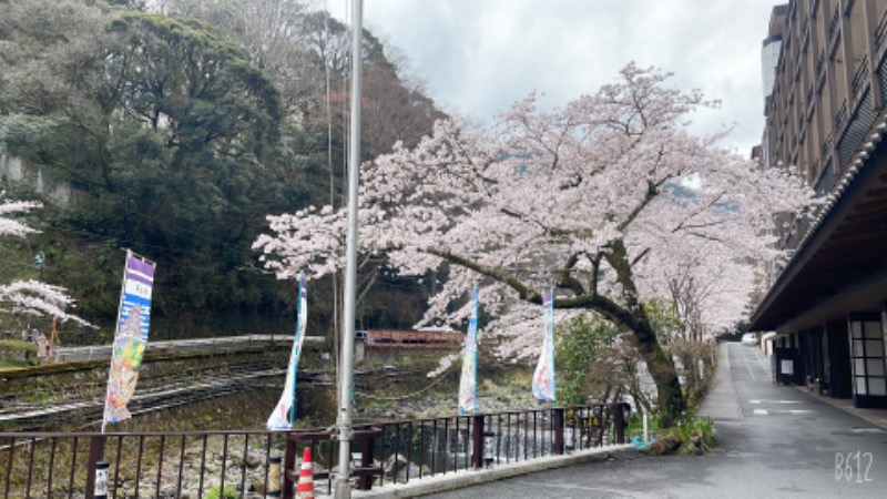 スーナーさんの箱根湯本温泉 天成園のサ活写真