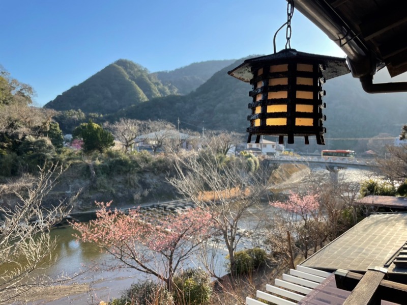 北欧おじさんさんの蓮台寺温泉 清流荘のサ活写真