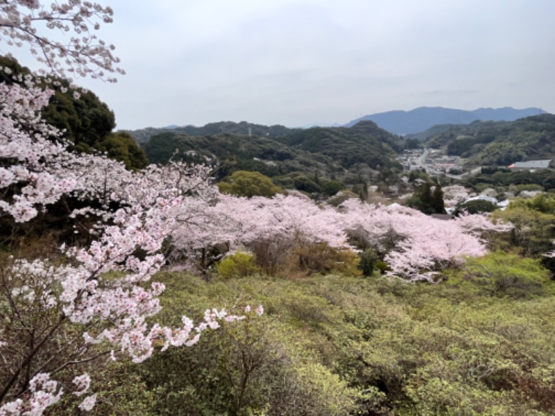 _CONY_さんの御船山楽園ホテル  らかんの湯のサ活写真