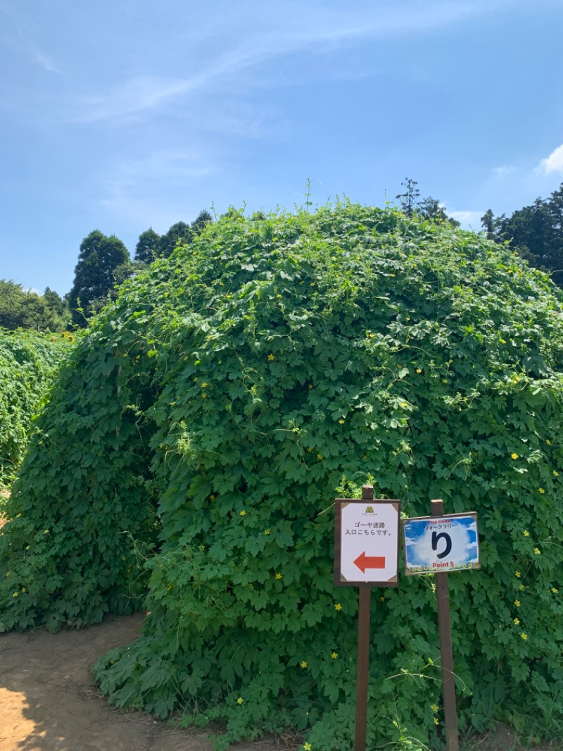 ゆき🍄さんのおふろcafé かりんの湯のサ活写真