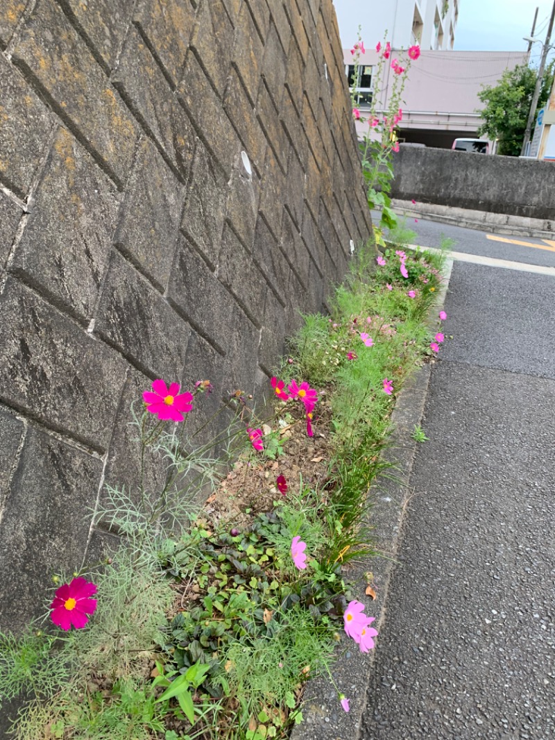 ゆき🍄さんの天然温泉すすき野 湯けむりの里のサ活写真