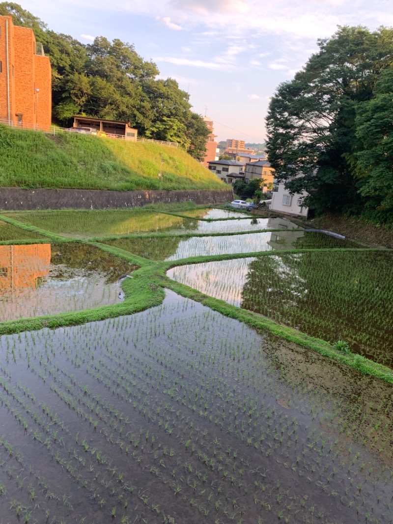 ゆき🍄さんの名水はだの富士見の湯のサ活写真