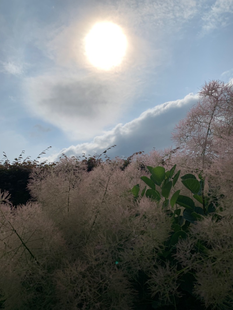 ゆき🍄さんの名水はだの富士見の湯のサ活写真