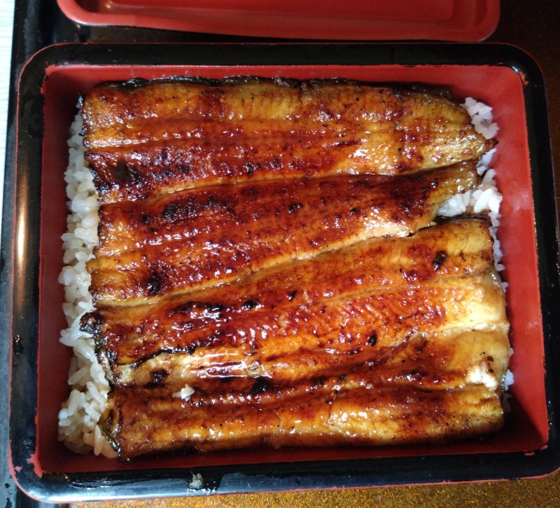 プロテインとサウナさんの正徳寺温泉初花のサ活写真