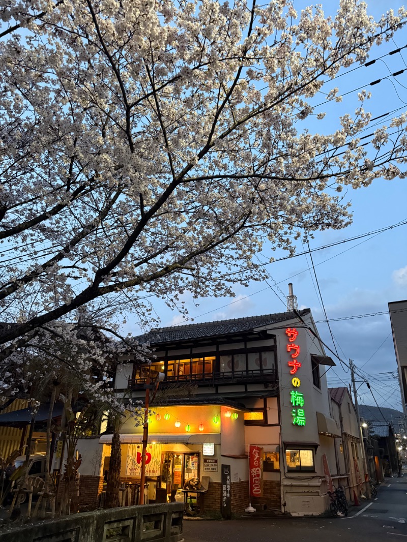 tkusk8さんのサウナの梅湯のサ活写真