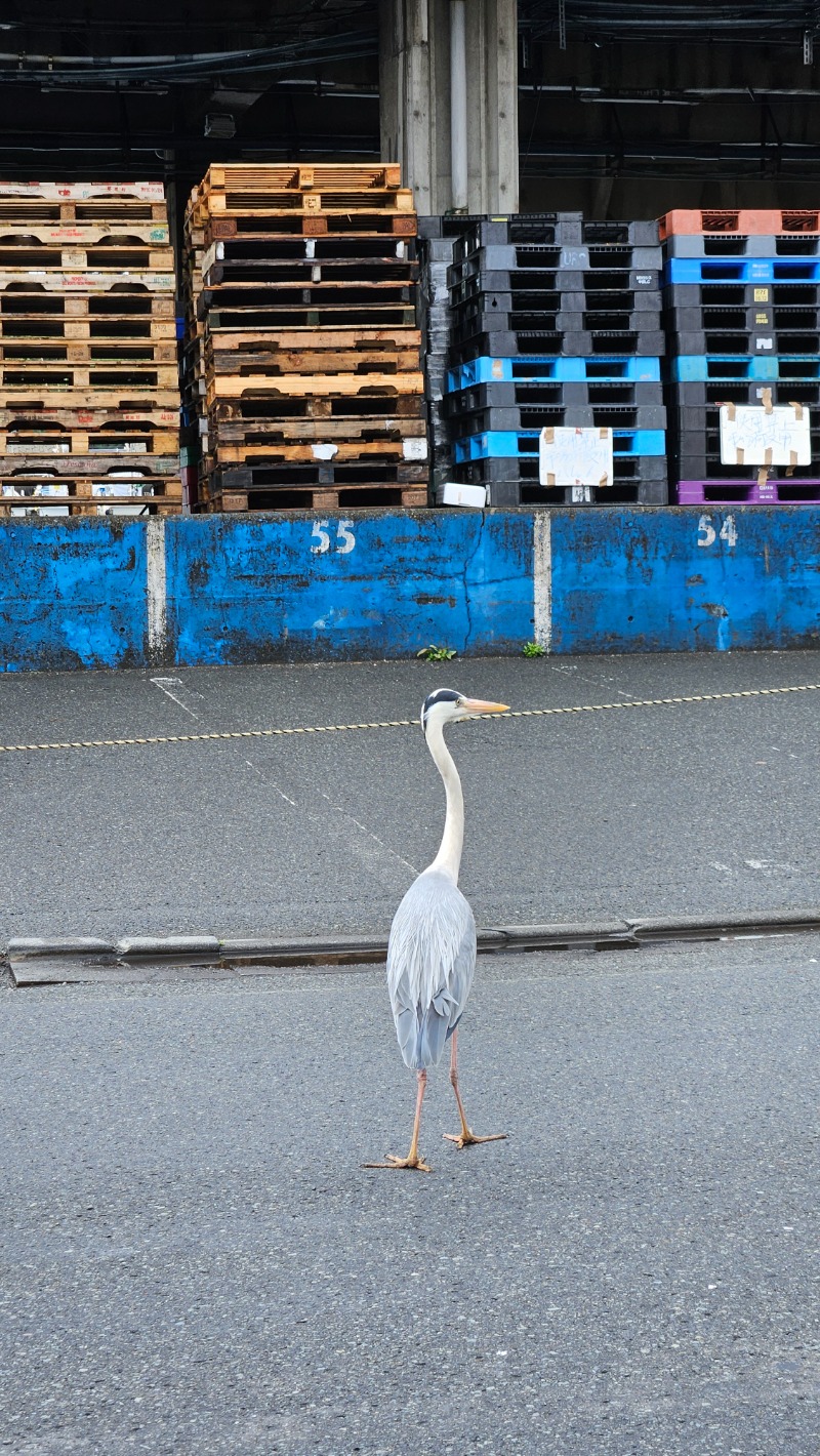 サウナ女子・あやさんの沼津インターグランドホテルのサ活写真