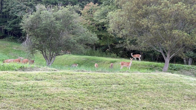 りあさんのうらかわ優駿ビレッジアエルのサ活写真