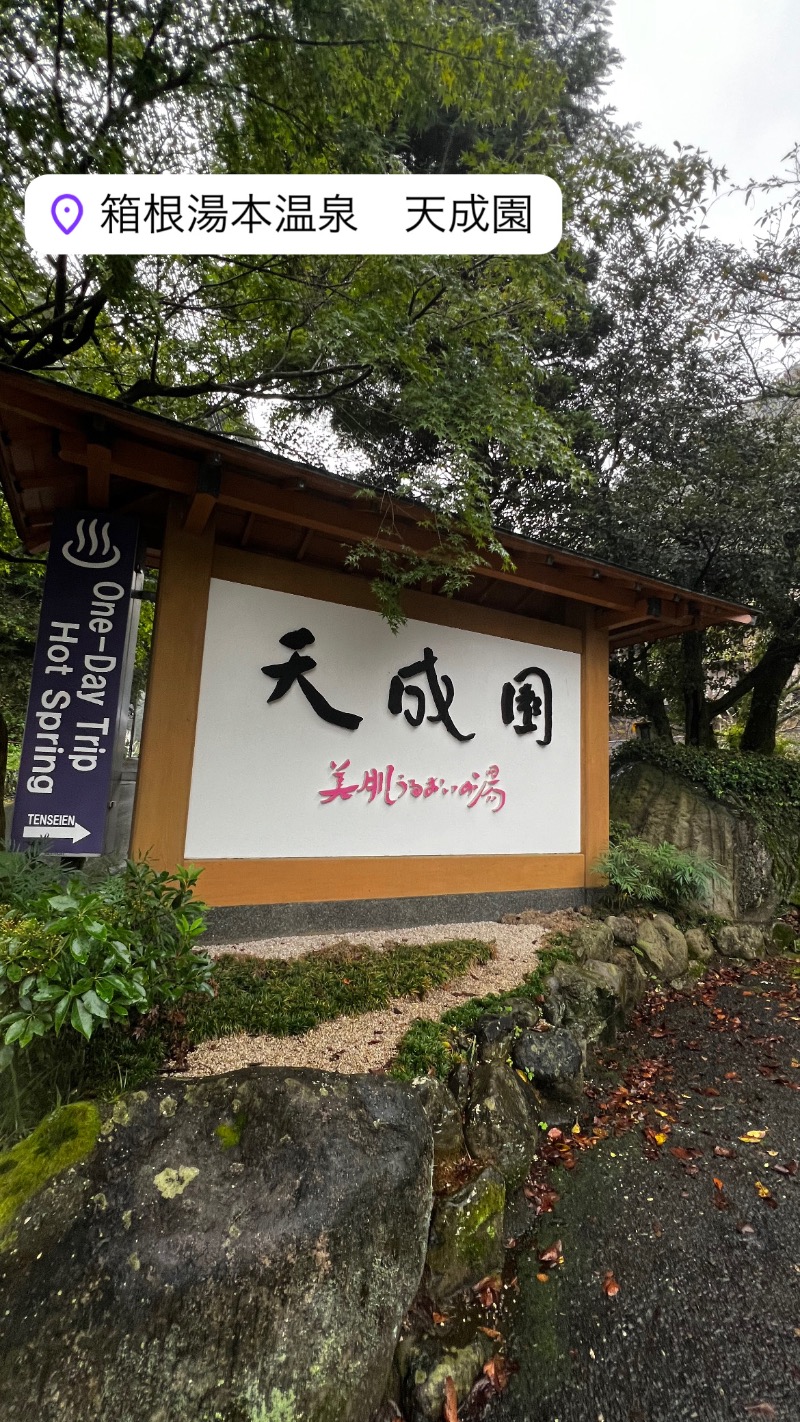 蒸しクルーズさんの箱根湯本温泉 天成園のサ活写真