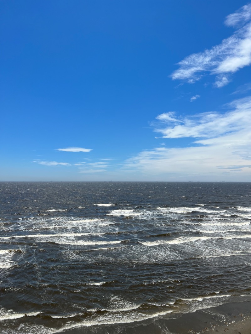 𝐉𝐢𝐦𝐦𝐲さんのJFA夢フィールド 幕張温泉 湯楽の里のサ活写真