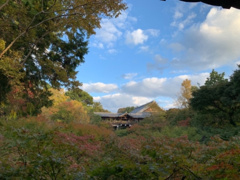 tsun//さんの白山湯 六条店のサ活写真