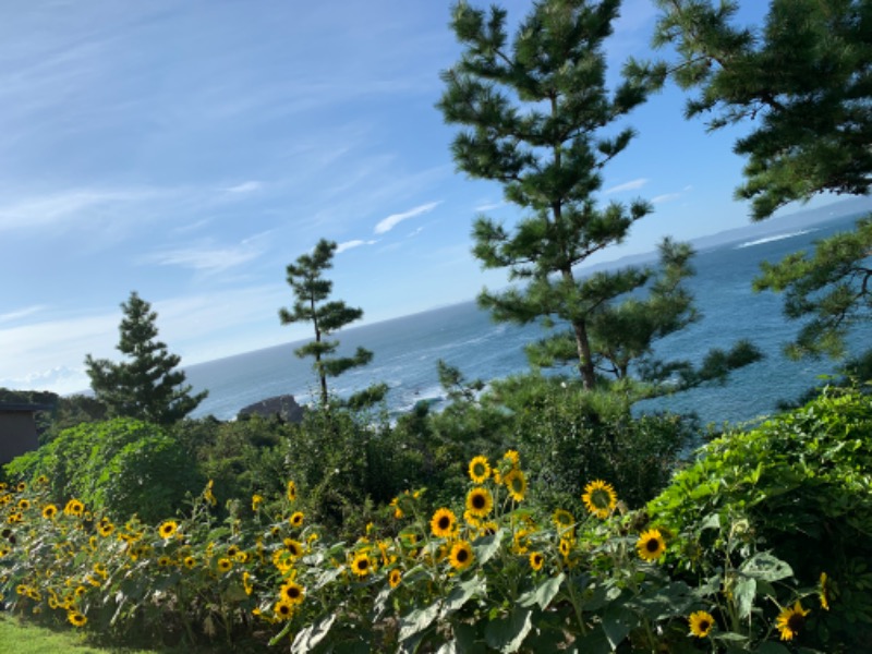 tsun//さんの南紀白浜 浜千鳥の湯 海舟のサ活写真