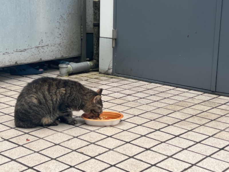 なみちゅわんさんのルビーパレスのサ活写真