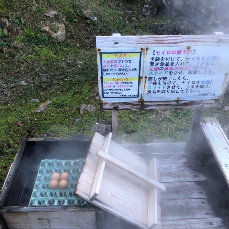 Ryohey!!さんの白鳥温泉上湯のサ活写真