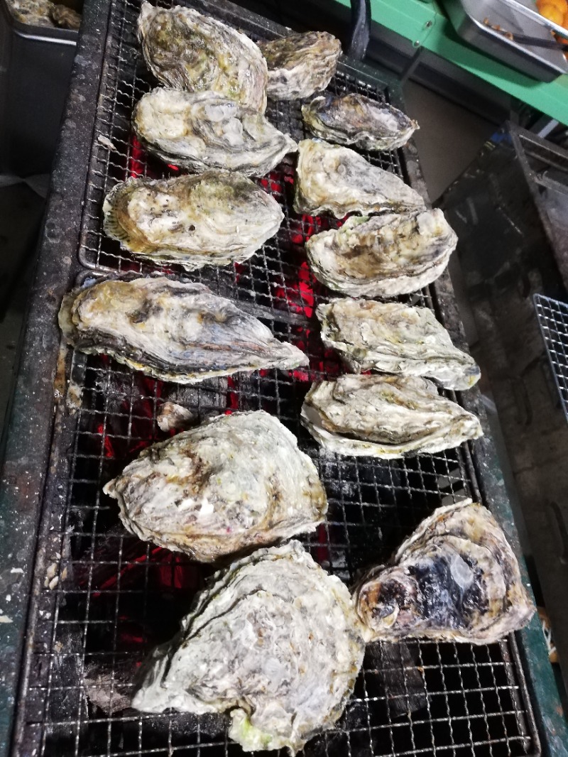 TZさんのひょっこり温泉 島の湯のサ活写真