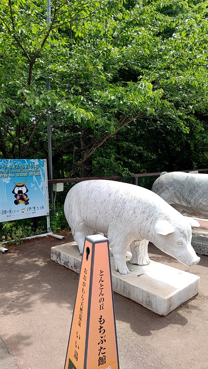 mitsuさんのおおがわら天然温泉 いい湯のサ活写真