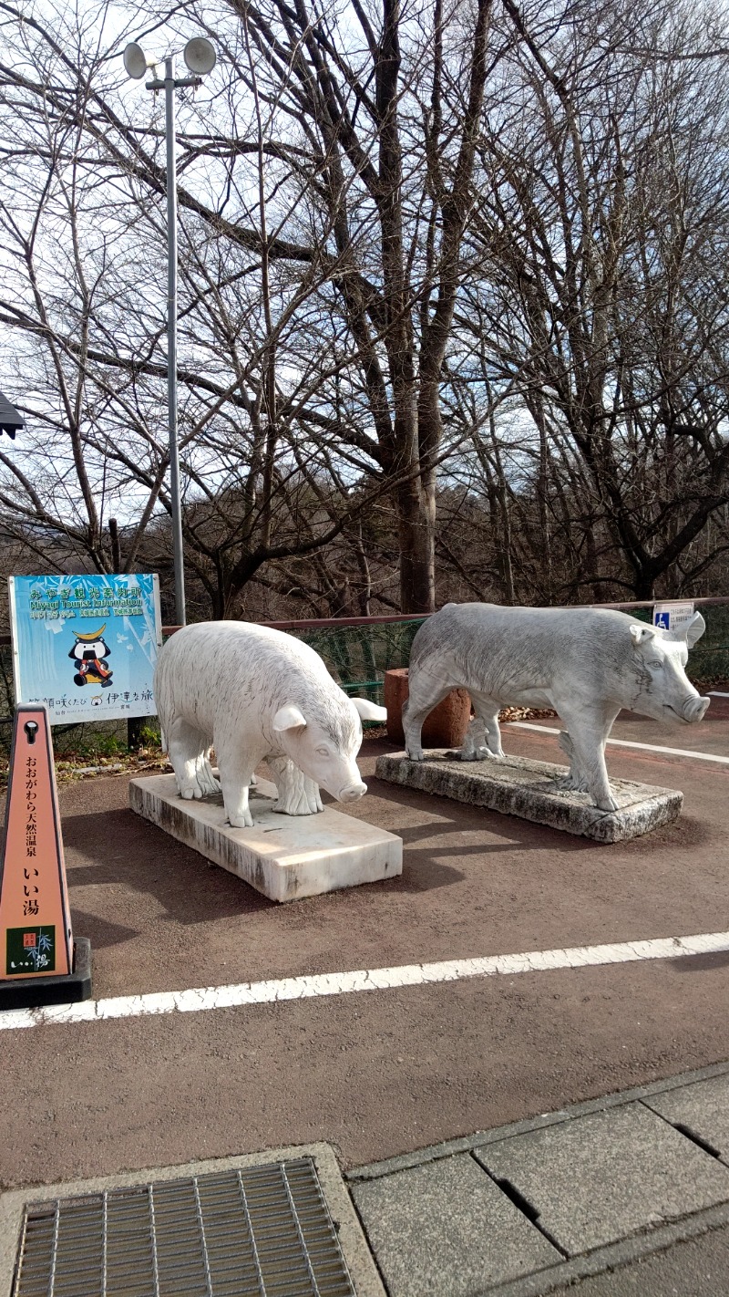 mitsuさんのおおがわら天然温泉 いい湯のサ活写真