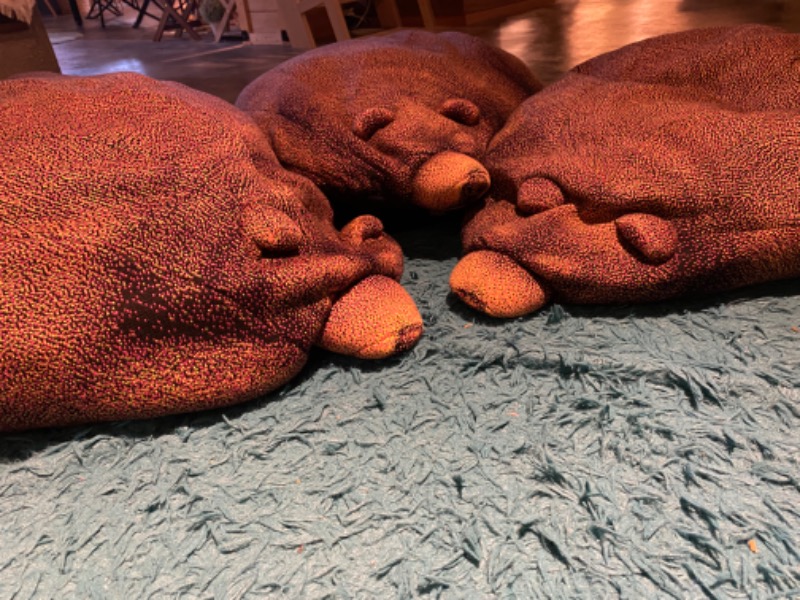 たかしさんのおふろcafé ハレニワの湯のサ活写真