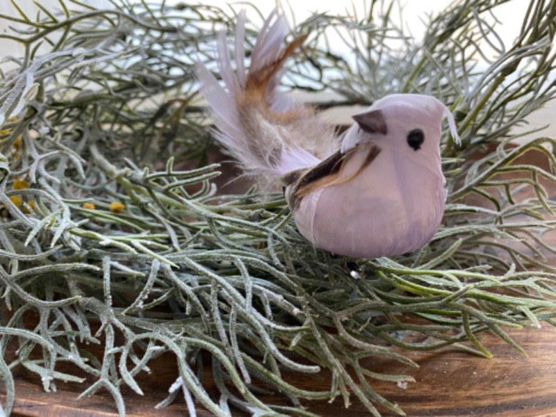 たかしさんのおふろcafé ハレニワの湯のサ活写真