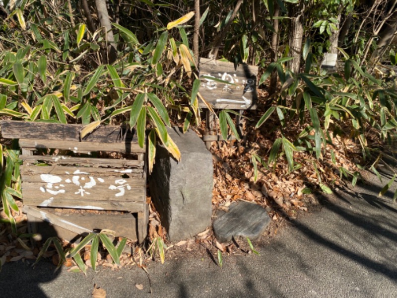 たかしさんの縄文天然温泉 志楽の湯のサ活写真