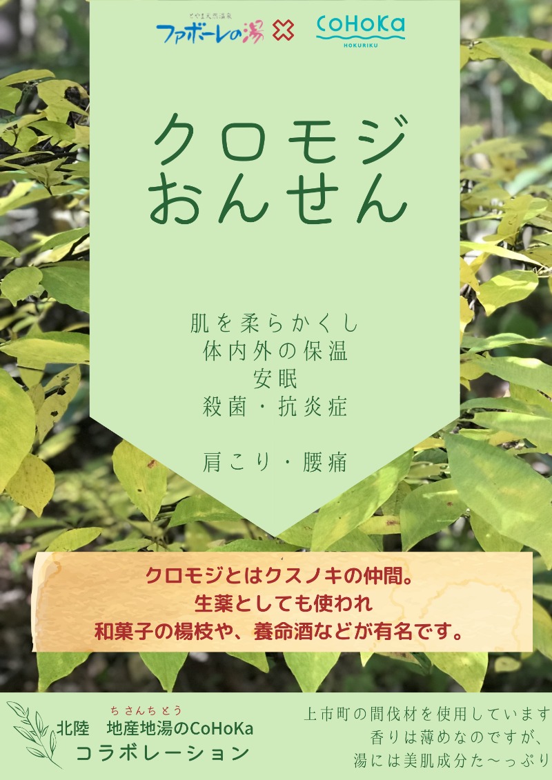CoHoKaのキクさんのとやま天然温泉 ファボーレの湯のサ活写真