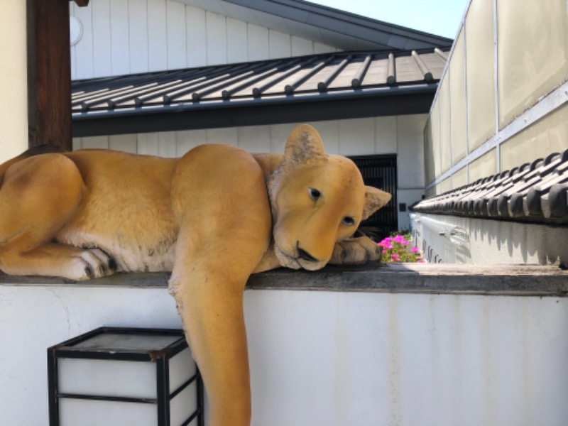 旅するおひとりさまさんの極楽湯尼崎店のサ活写真