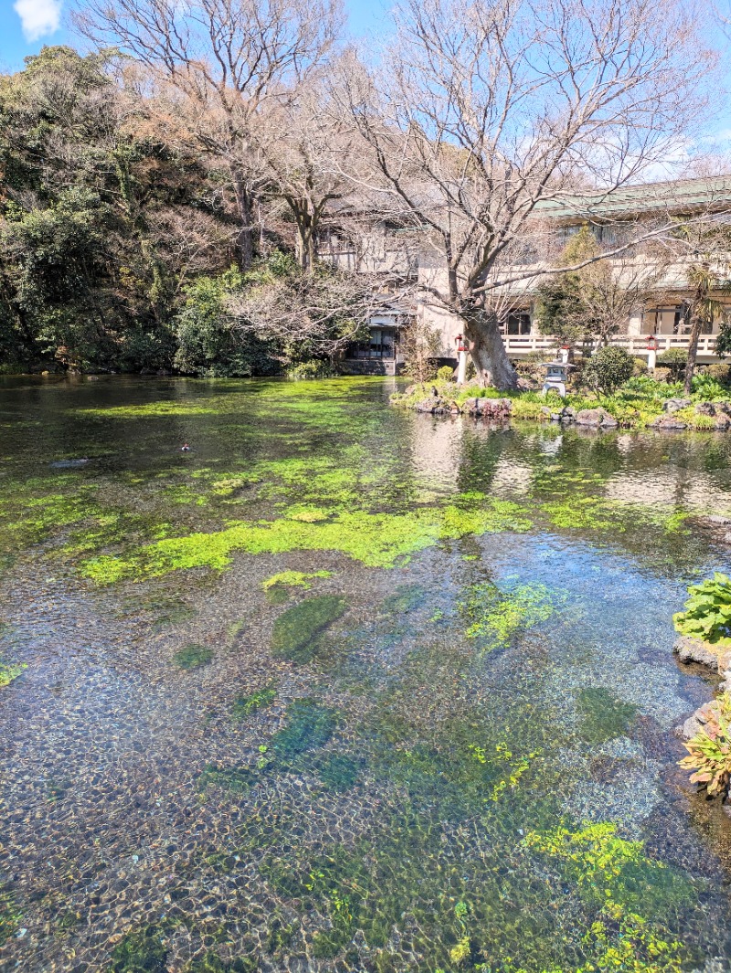 イシレリさんの富士山天然水SPA サウナ鷹の湯のサ活写真