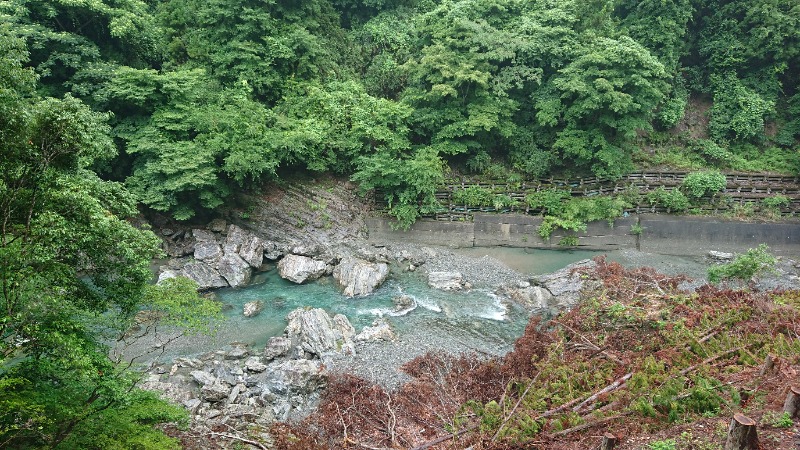 3773さんのつるぎの湯大桜のサ活写真