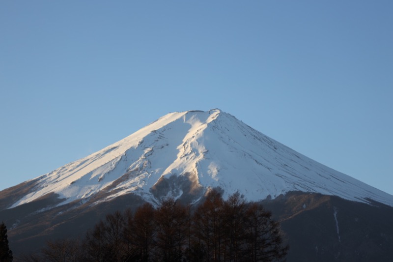 くらこんさんの富士山溶岩の湯 泉水(リゾートイン芙蓉)のサ活写真