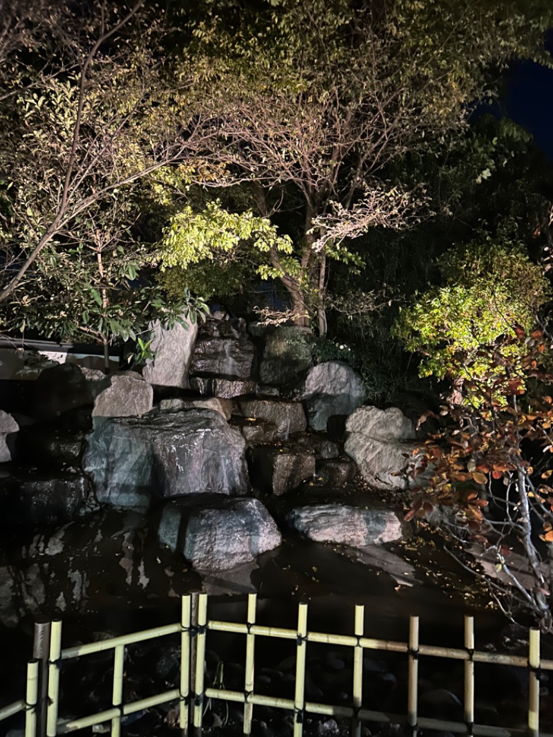 コタさんの見沼天然温泉 小春日和のサ活写真