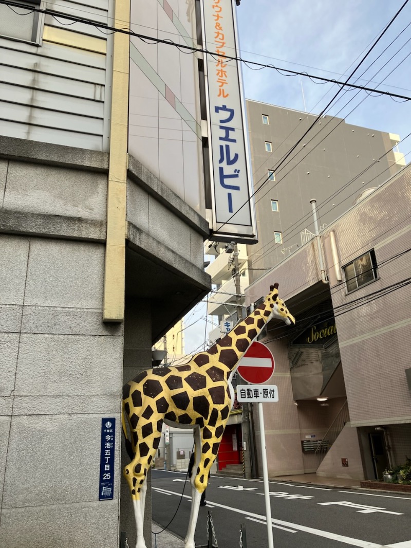 サnekoさんのウェルビー今池のサ活写真