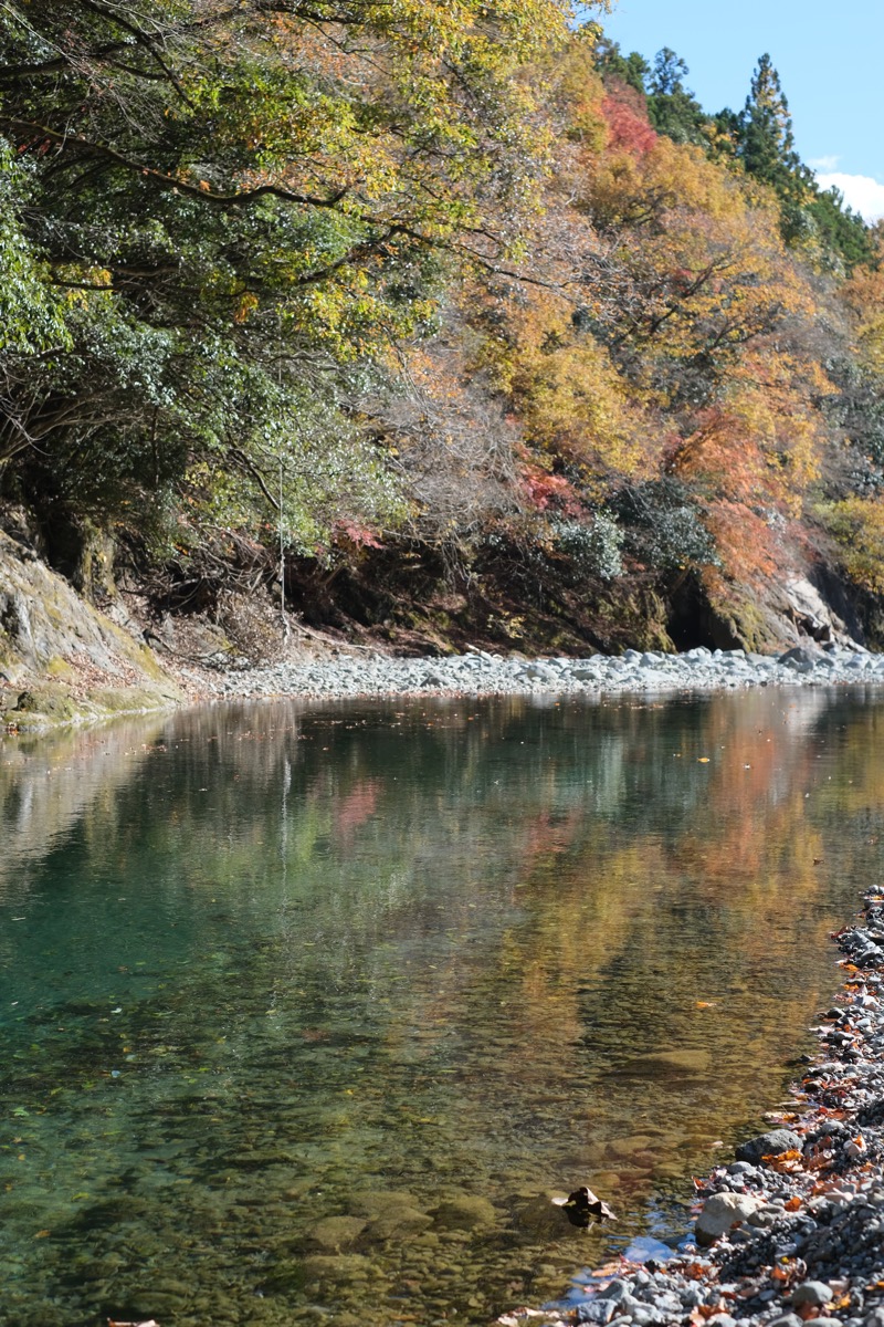 YSKさんのバカンス村のサ活写真