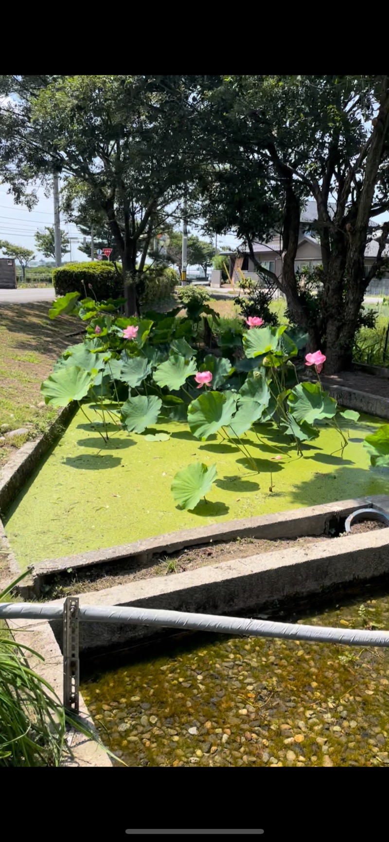 るいさんの美川温泉元湯ほんだのサ活写真