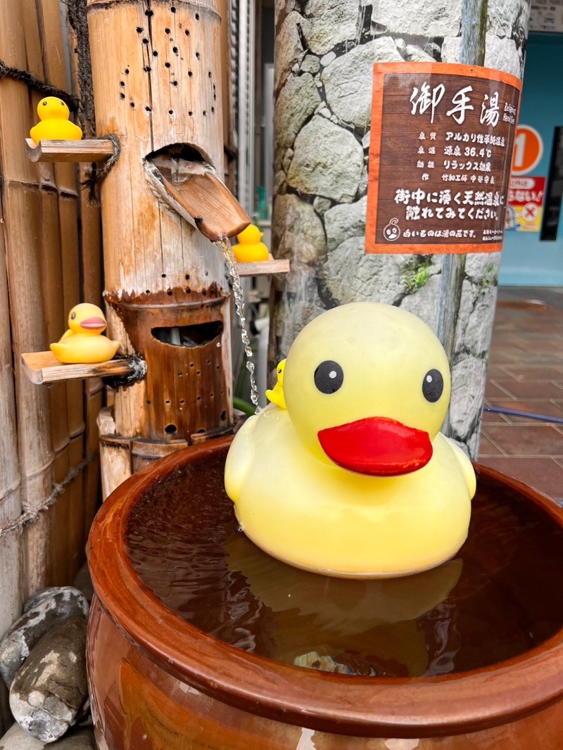 藤井　凪さんの松山ニューグランドホテル 天然温泉ゆるりんのサ活写真