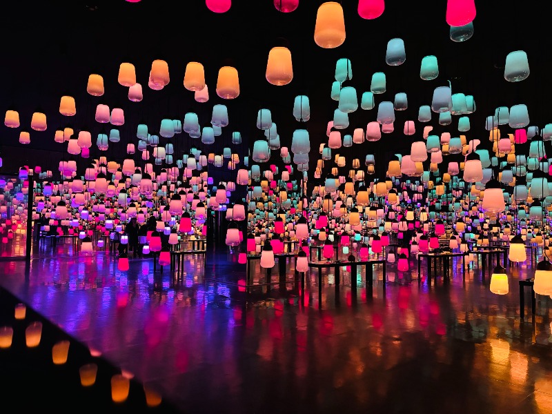 藤井　凪さんの御船山楽園ホテル  らかんの湯のサ活写真