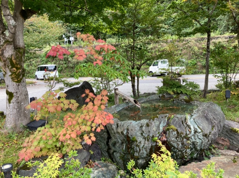 にぇいじさんの飛騨高山 自家源泉の湯 臥龍の郷のサ活写真