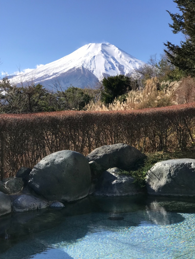 おかじゅさんのホテルマウント富士のサ活写真