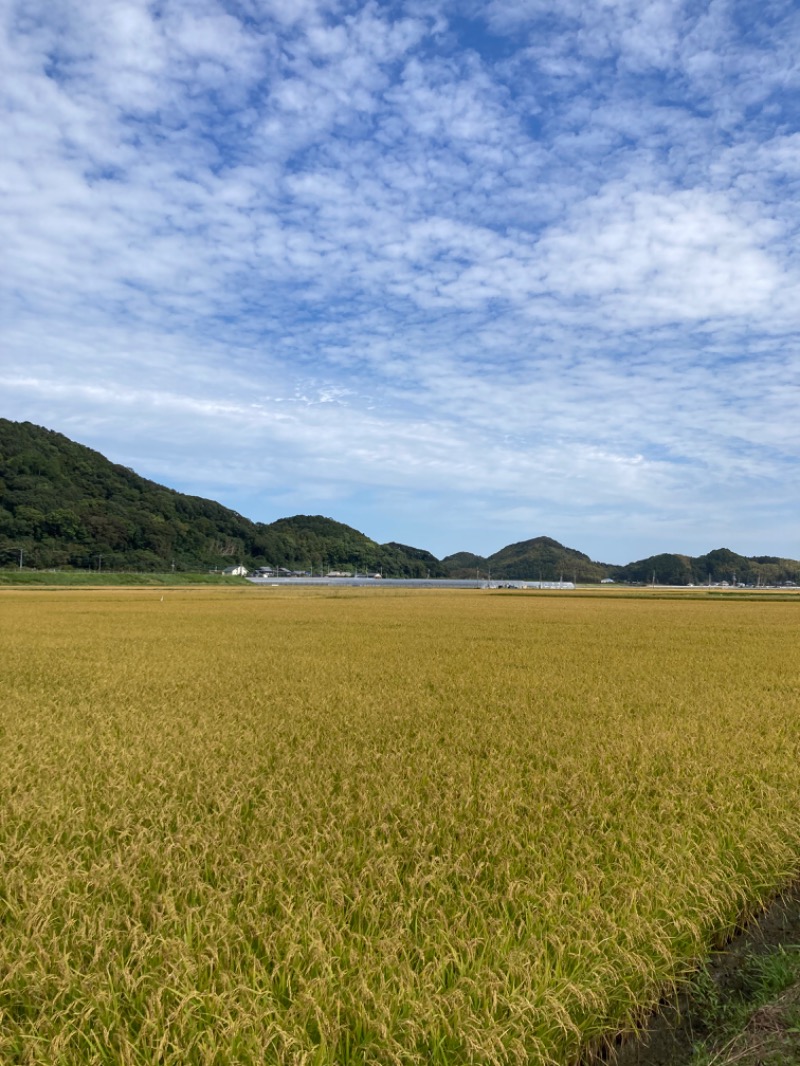 でこぽんさんの伊都の湯どころのサ活写真