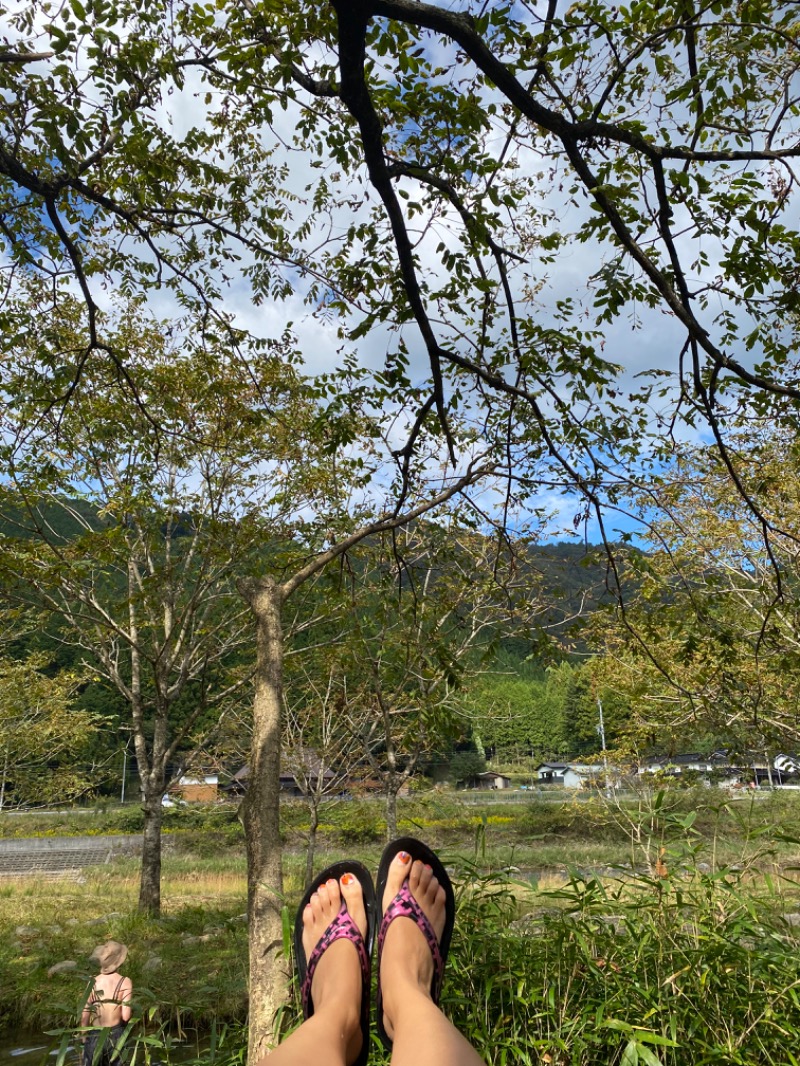 こつさんの南光自然観察村フィンランドサウナのサ活写真