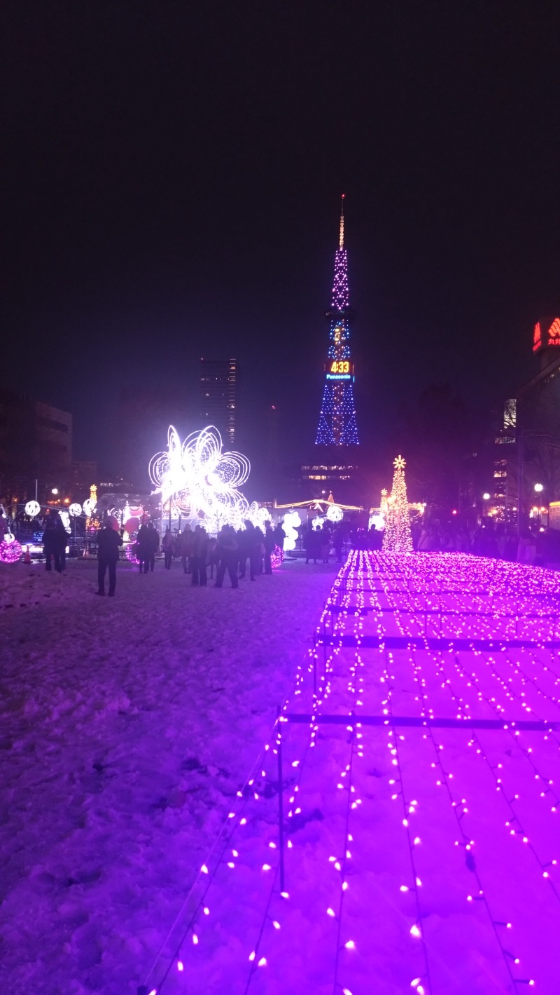 ポークチャップ川さんの天然温泉ホテルリブマックスPREMIUM札幌大通公園のサ活写真
