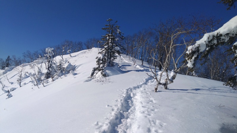 ポークチャップ川さんのしほろ温泉プラザ緑風のサ活写真