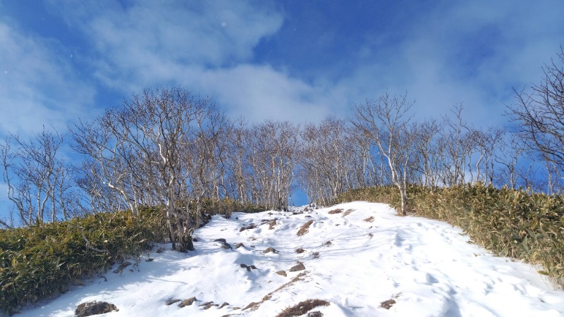 ポークチャップ川さんのホテルマルエー温泉のサ活写真