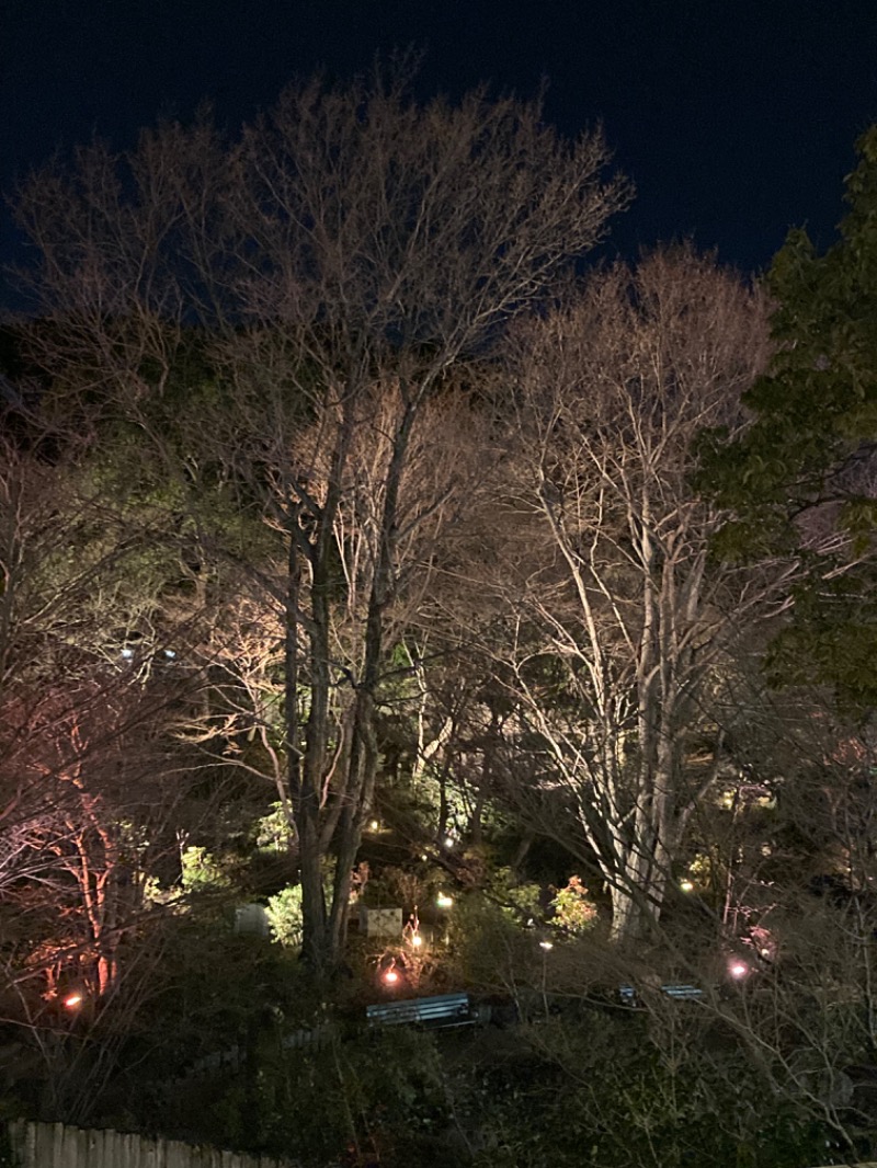 おさやさんの豊島園 庭の湯のサ活写真
