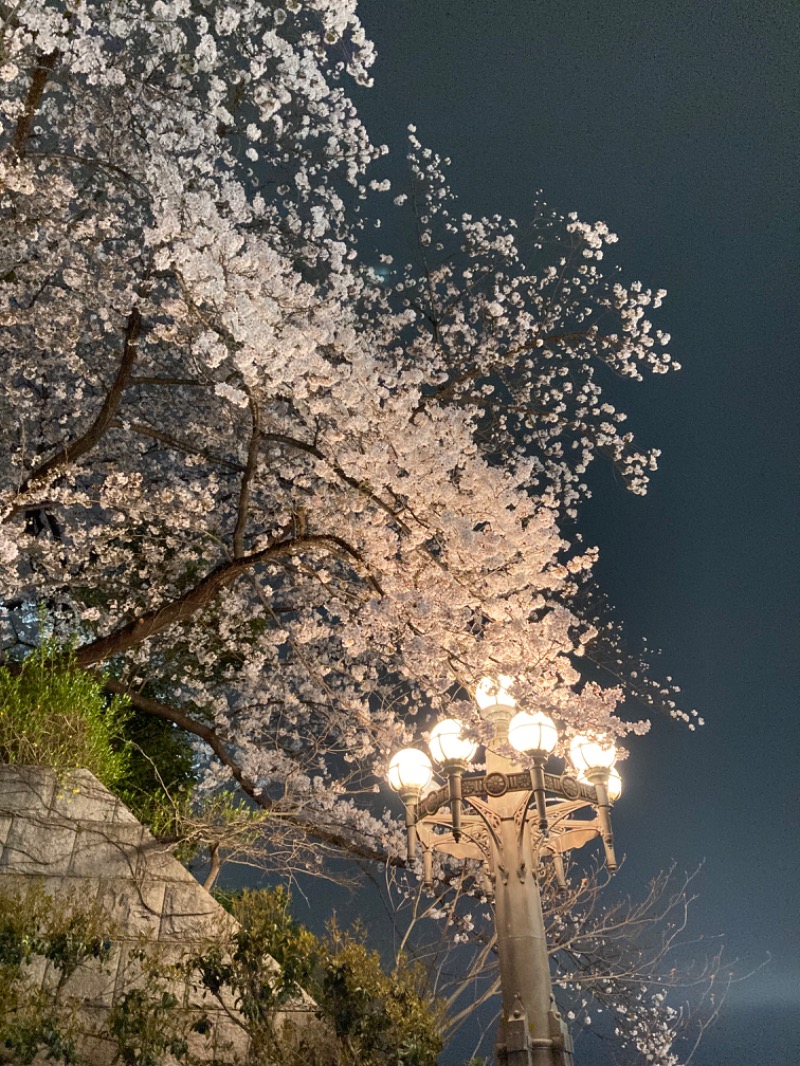 おさやさんの新宿天然温泉 テルマー湯のサ活写真